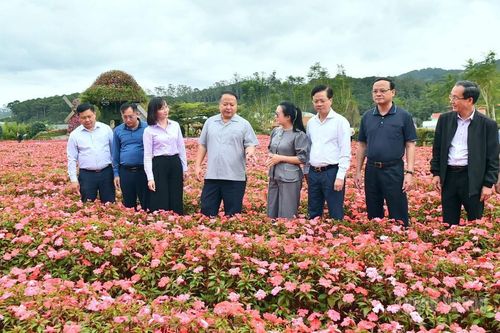 Đoàn công tác tỉnh Tuyên Quang tìm hiểu kinh nghiệm phát triển các mô hình kinh doanh dịch vụ du lịch tại Lâm Đồng