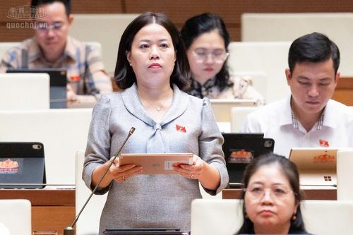 ĐBQH đề nghị lấy ý kiến người dân về kế hoạch sử dụng đất cấp xã