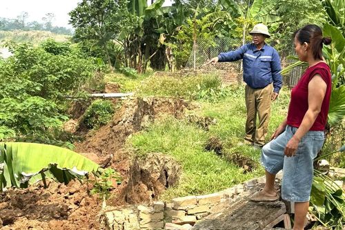 Phú Thọ: Sạt lở bờ sông Hồng ở xã Liên Minh, đe dọa đất ở của người dân