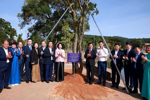 50 năm nghĩa tình Hà Nội - Lâm Đồng trên vùng kinh tế mới