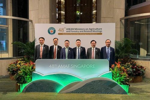 Việt Nam đề xuất 3 ưu tiên hợp tác nông-lâm nghiệp ASEAN giai đoạn 2026-2030