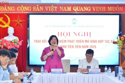 Chủ tịch Liên minh HTX Việt Nam nhấn mạnh giá trị thực chất của HTX điển hình