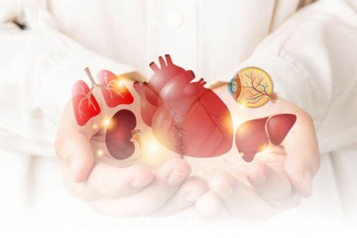 Ranh giới giữa khoa học và đạo đức