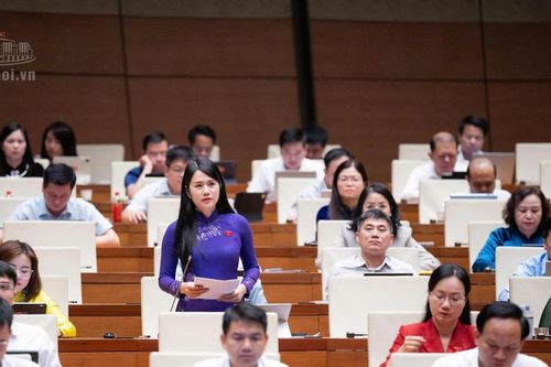 Quốc hội thảo luận các vấn đề kinh tế - xã hội, ngân sách nhà nước