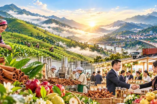 Sắp diễn ra sự kiện xúc tiến đầu tư thương mại nông nghiệp Lào Cai năm 2026