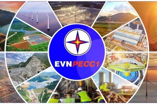 Thu nhập khác 33,8 tỷ đồng đẩy lãi TV1 tăng gần 150% trong quý III