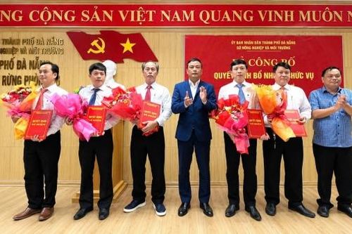 Đà Nẵng: Bổ nhiệm tân Giám đốc Ban Quản lý rừng phòng hộ và đặc dụng