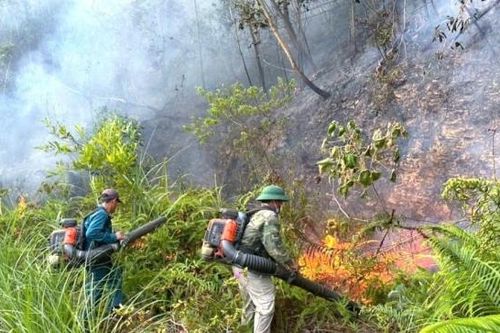 Nghệ An quyết liệt triển khai công tác phòng cháy, chữa cháy rừng ở các xã miền núi