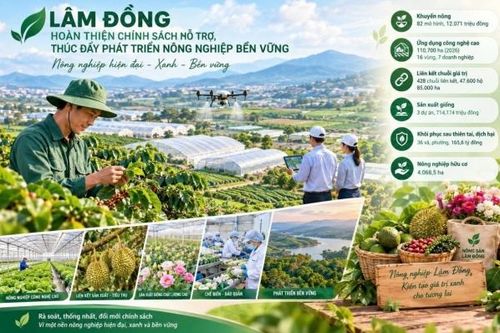 Hoàn thiện chính sách hỗ trợ, thúc đẩy phát triển nông nghiệp bền vững