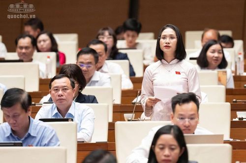 Đại biểu Quốc hội đề nghị rà soát hiệu quả sử dụng các thiết chế văn hóa, đảm bảo kinh phí hoạt động thường xuyên