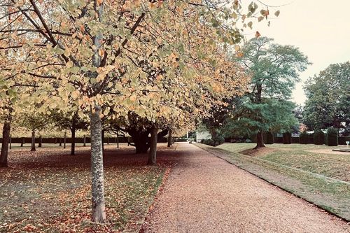 Ba thế kỷ lắng đọng trong vườn cổ Chiswick House ở London