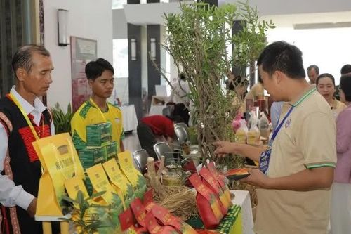 34 dự án khởi tranh chung kết Cuộc thi Khởi nghiệp xanh 2026