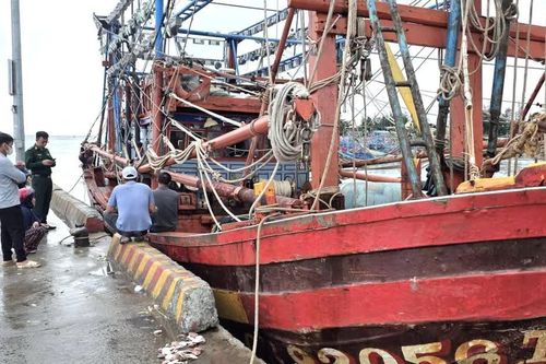 Một ngư dân Quảng Trị tử vong khi đánh bắt thủy sản trên biển