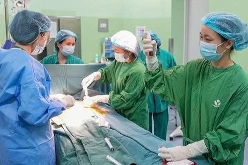 Cuộc hồi sinh của bé trai nhờ nguồn tủy từ chị gái
