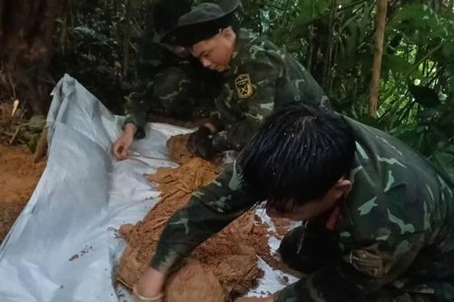 Phát hiện, cất bốc nhiều hài cốt liệt sĩ cùng di vật tại Quảng Trị