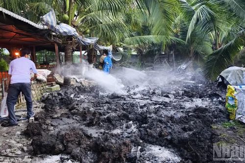 An Giang tăng cường phòng chống dịch tả lợn châu Phi