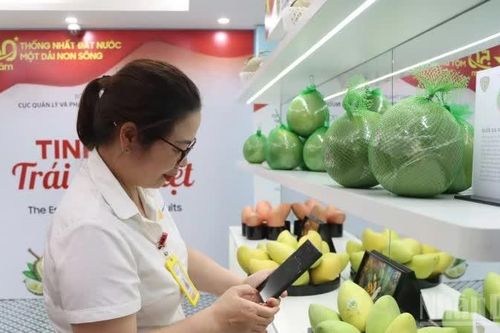Từ đáp ứng tiêu chuẩn đến tham gia sâu vào chuỗi giá trị châu Âu