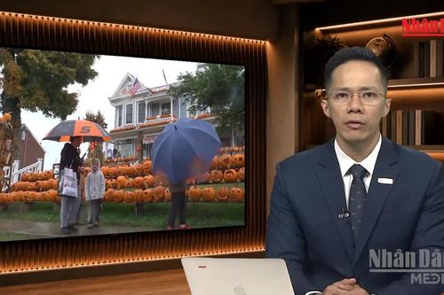 [Video] Tiêu điểm 31/10: Mùa Halloween 'hù dọa' sức mua người Mỹ
