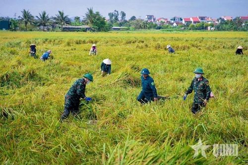 Ban CHQS cấp xã ở Nghệ An phát huy tốt vai trò, trách nhiệm