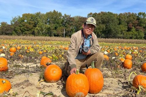 Trên cánh đồng bí ngô mùa Halloween