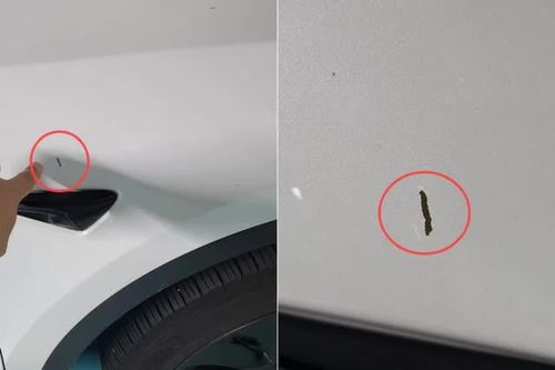 Câu chuyện đáng tự hào từ vết xước xe của cụ ông làm nghề thu gom giấy vụn để lại
