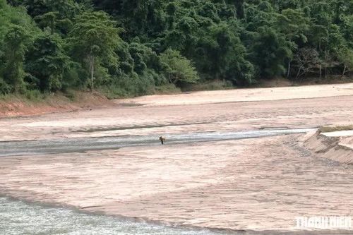 [SPOTLIGHT] El Niño rất mạnh khiến Việt Nam nóng kỷ lục, lo hạn mặn