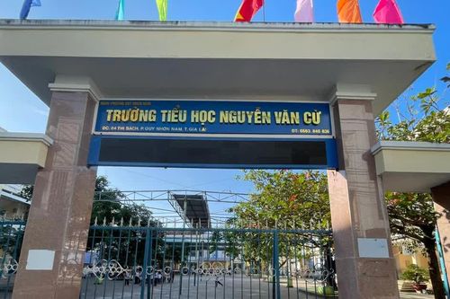 Vụ việc 3 hiệu trưởng làm giáo viên: Quy Nhơn Nam rà soát, điều chỉnh nhân sự