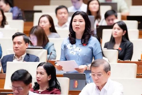 'Căn bệnh' độ trễ chính sách và bài học từ một quán hủ tiếu