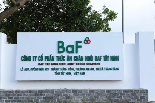 Nông nghiệp BAF (BAF) lợi nhuận quý III gần như đi ngang, nợ vay tăng hơn 2.500 tỷ đồng