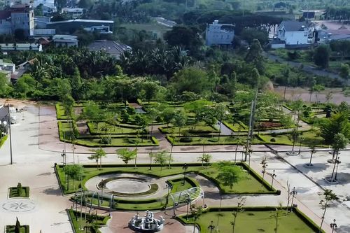 Hơn 264 tỷ đồng 'chảy' về túi Chủ tịch Cây xanh Công Minh thế nào?