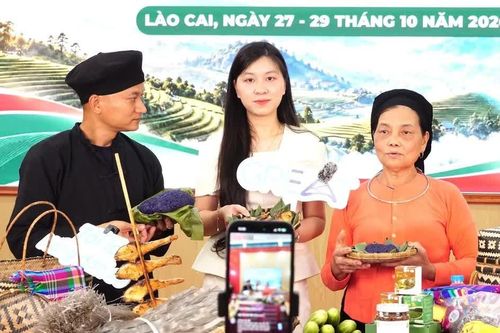Tập huấn chuyển đổi số, đưa đặc sản vùng cao lên sàn thương mại điện tử