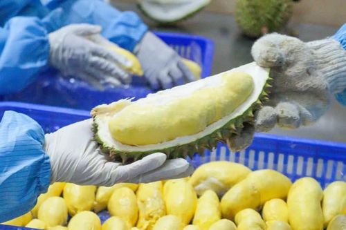 Xuất khẩu thực phẩm sang Trung Quốc: Giảm một nửa thông tin kê khai