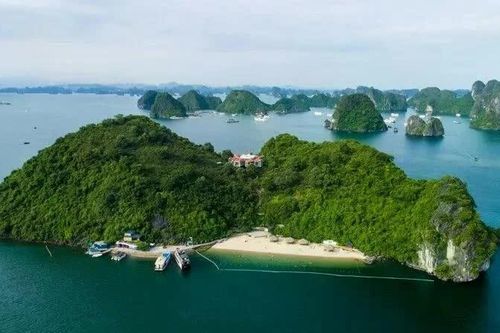 Sắp đón khách đến bãi biển đẹp nhất thế giới tại Việt Nam