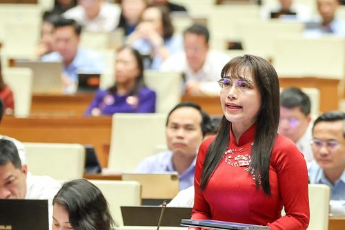 Thầy cô giáo đâu phải chuyên gia tài chính để định giá, làm đấu giá viên