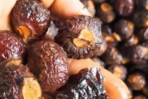 Loại quả từng dùng giặt quần áo bị Hà Nội cấm trồng nơi công cộng