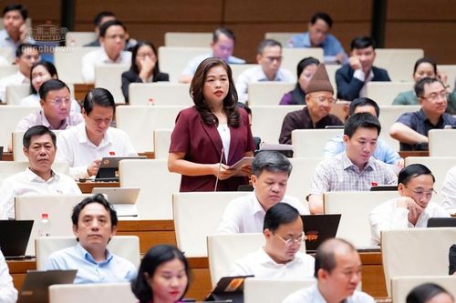 Đại biểu Quốc hội mong muốn mỗi cửa khẩu sẽ mang lại việc làm, sinh kế cho Nhân dân