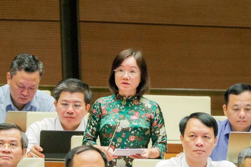 Đại biểu Thái Thị An Chung kiến nghị điều chỉnh phân bổ vốn đầu tư công năm 2027