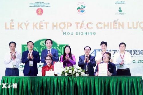 Thái Nguyên thúc đẩy kết nối, phát triển kinh tế trà toàn cầu
