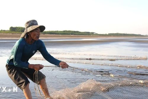 Nghệ An: Độc đáo nghề kéo rùng, nét văn hóa trăm năm ở làng biển