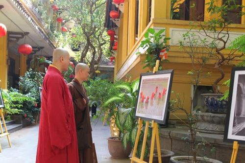 Lan tỏa tinh thần từ bi, trí tuệ của đạo Phật qua ngôn ngữ nhiếp ảnh