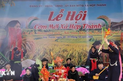 Thái Nguyên: Lần đầu tiên phục dựng Lễ hội cơm mới của đồng bào Tày ở Hợp Thành
