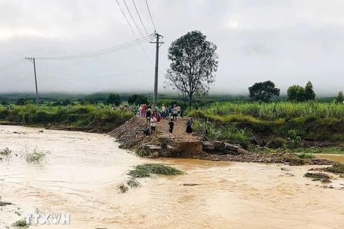 Mưa lớn gây sạt lở đường dẫn cầu, ngập cục bộ tại phía Đông Đắk Lắk