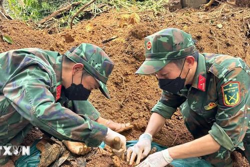 Quảng Ngãi: Tìm thấy 3 hài cốt liệt sỹ tại Bệnh xá Đức Phổ