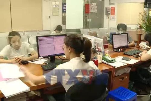 Hàng triệu mã số thuế chờ đóng trông đợi chính sách tháo gỡ
