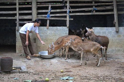 Đầu tư hạ tầng ở miền núi Thanh Hóa: Điện, nước vẫn là yêu cầu cấp thiết
