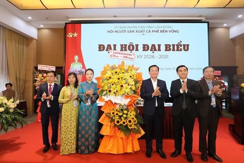 Chủ tịch tỉnh Lâm Đồng: Cà phê phải mạnh cả về sản lượng lẫn giá trị