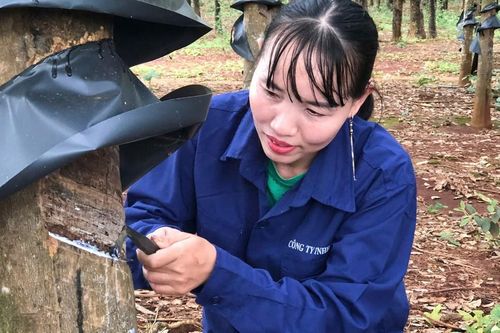 Thợ khai thác mủ cao su với nhiểu sáng kiến được trao Giải thưởng Phụ nữ Quân đội