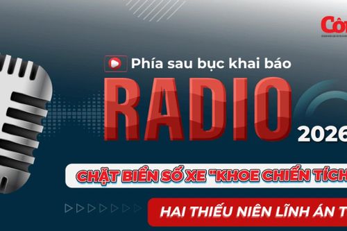 Radio Phía sau bục khai báo: Chặt biển số xe 'khoe chiến tích', hai thiếu niên lĩnh án tù