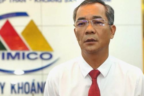 Tổng giám đốc Vimico bị khởi tố