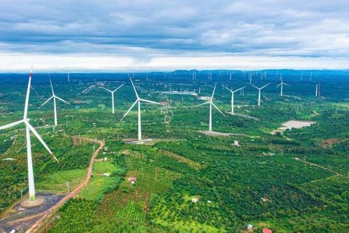 Trungnam Group mở rộng đầu tư điện gió tại Đắk Lắk